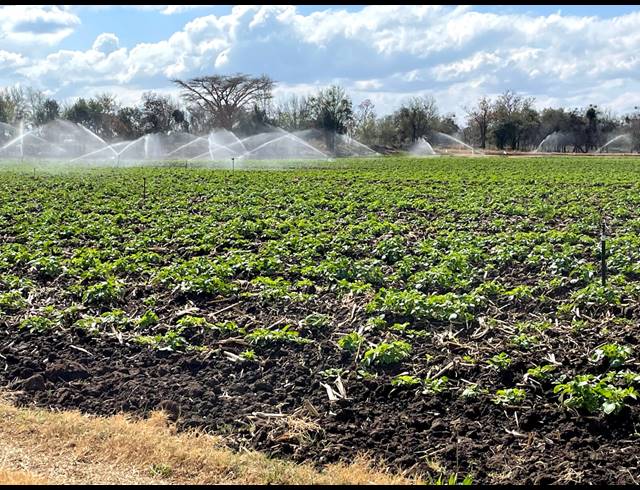 12HA FARM FOR SALE IN WEENEN